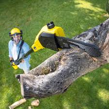 Best Organic Lawn Care Solutions  in Oak Park Heights, MN